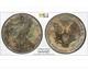 Ms65 Dollar American Silver Eagle 2000, Pcgs Trueview, Patine Arc-en-ciel Fonc&eacute;e ?