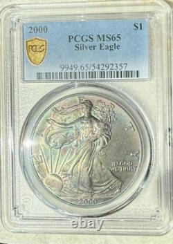 MS65 Dollar American Silver Eagle 2000, PCGS TrueView, patine arc-en-ciel foncée ?