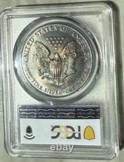 MS65 Dollar American Silver Eagle 2000, PCGS TrueView, patine arc-en-ciel foncée ?