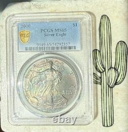 MS65 Dollar American Silver Eagle 2000, PCGS TrueView, patine arc-en-ciel foncée ?