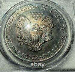 MS65 Dollar American Silver Eagle 2000, PCGS TrueView, patine arc-en-ciel foncée ?