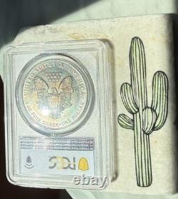 MS65 Dollar American Silver Eagle 2000, PCGS TrueView, patine arc-en-ciel foncée ?