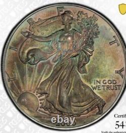 MS65 Dollar American Silver Eagle 2000, PCGS TrueView, patine arc-en-ciel foncée ?