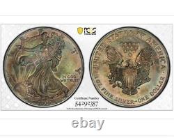 MS65 Dollar American Silver Eagle 2000, PCGS TrueView, patine arc-en-ciel foncée ?