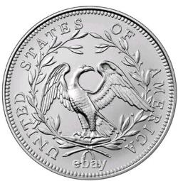 Médaille en argent Flowing Hair du 230e anniversaire de la Monnaie des États-Unis 2024 Aigle OGP/COA Prévente