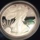 Monnaie Des &Eacute;tats-unis 2005 American Eagle 1 $ 1 Oz Argent 999 Proof Certifi&eacute;