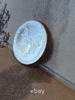 Pièce American Silver Eagle 1 oz 1991 San Francisco Business Strike UNC, faible tirage, état neuf de frappe, en argent