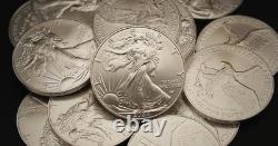 Pièce en argent américain Eagle certifiée aléatoire, 1 oz, 1 $ BU, pièces en coffret T