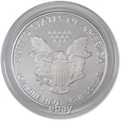 Pièce en argent américain Silver Eagle 2010 W Proof de choix en bullion 1 $ OGP COA