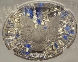 Preuve 2001 W $1 Aigle d’argent NGC PF70UC Étiquette brune moderne 1 sur 6885 Mint