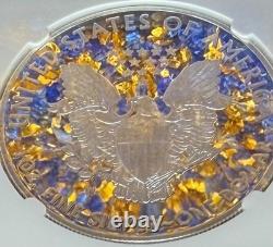Preuve 2018 W 1 $ Silver Eagle PF70UC Premier jour Fun Show Rare 1 sur 433 Mint