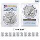 Prix De Vente Lot De 10 2021 1 Oz Silver Eagle Type 2 Pcgs Ms 69 Fs Drapeau Étiquette
